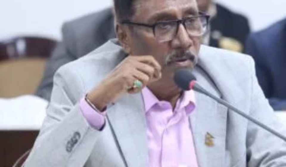 500824894_1243658527769712_6649233653240544157_n-300x300